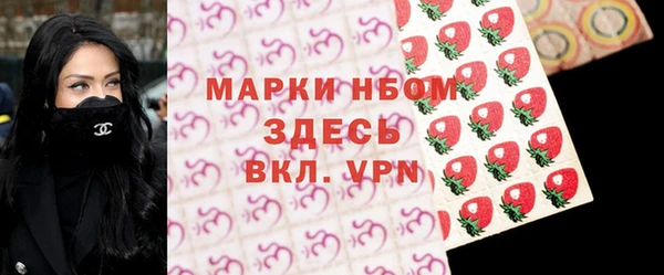 стаф Арсеньев
