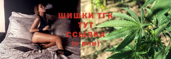 стаф Арсеньев